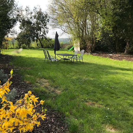 Barnfield Bed And Breakfast Downton  Exteriér fotografie